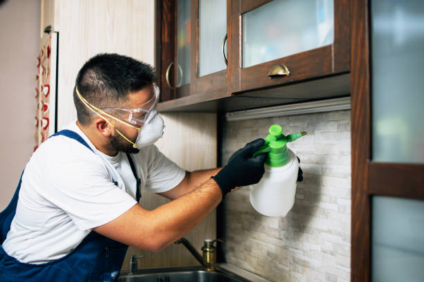 Trusted Winfield, IA Pest Control Experts