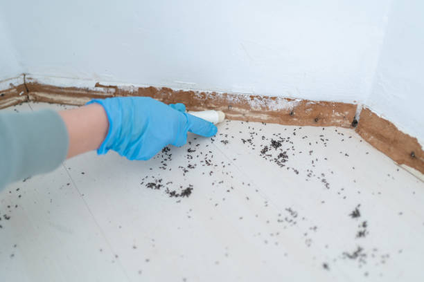 Best Exterminator Services  in Winfield, IA