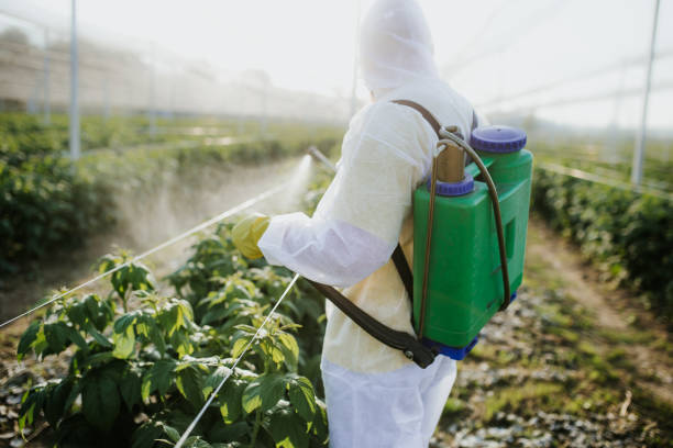 Best Affordable Pest Control Services  in Winfield, IA
